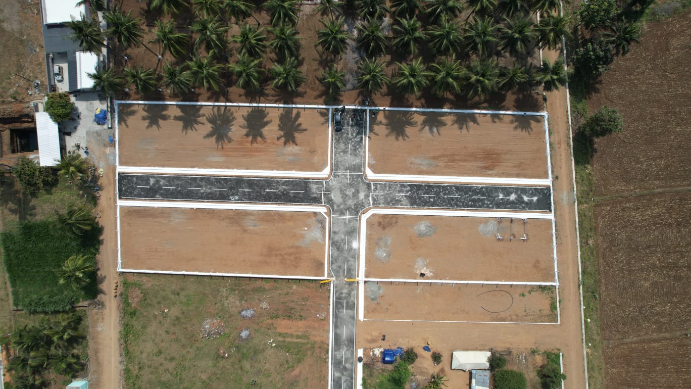 Thammampatti Plot View