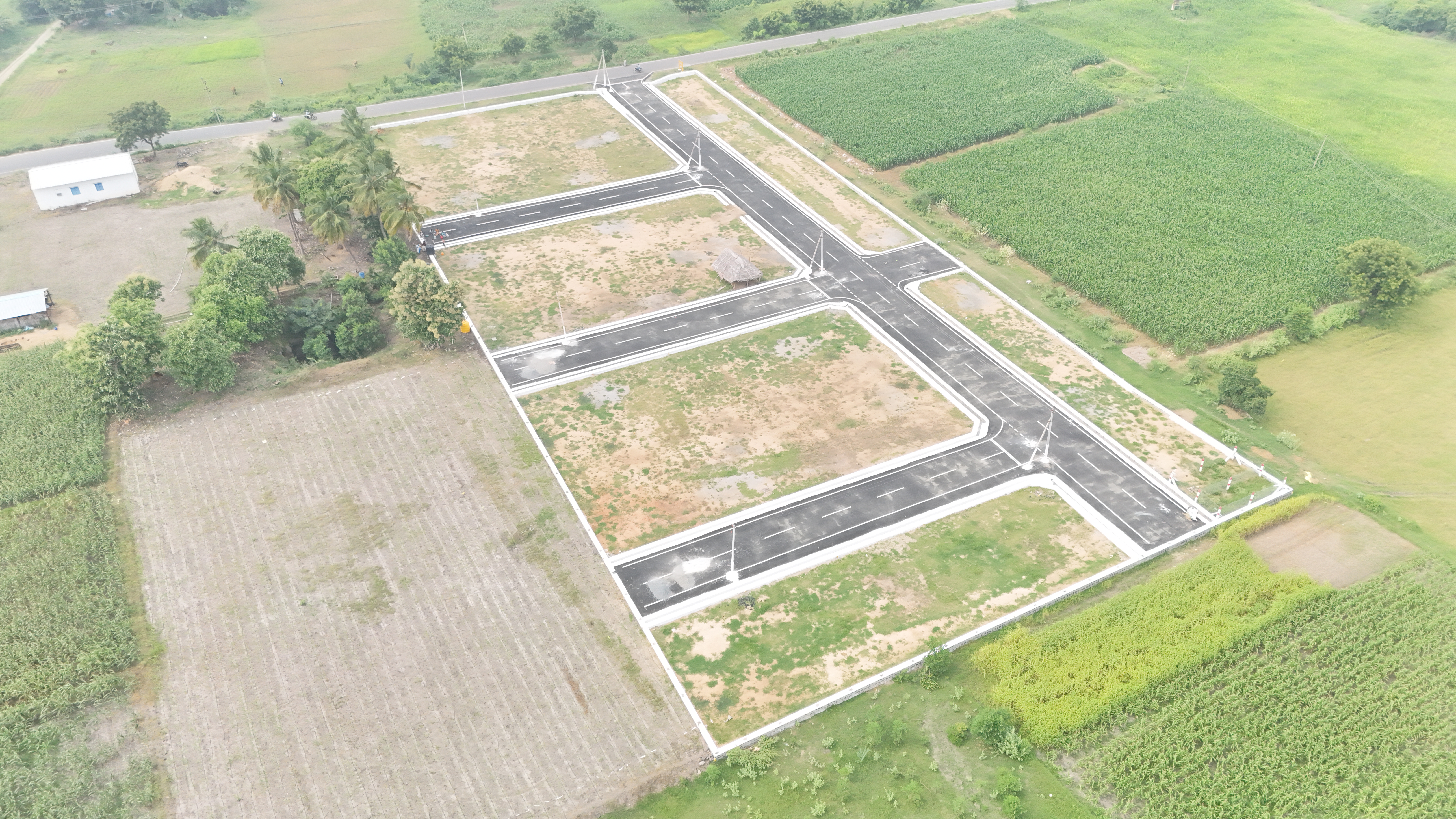 Veeraganur Plot View